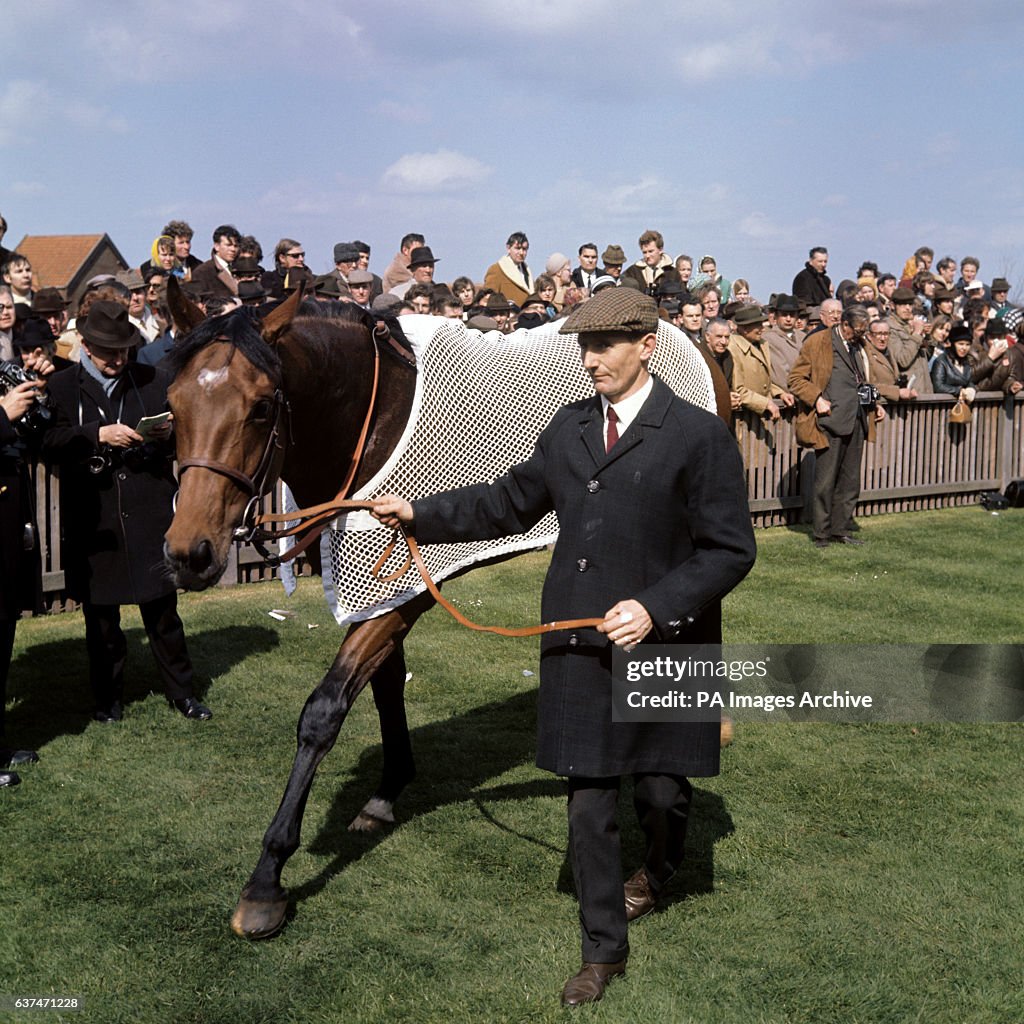 Horse Racing - Famous Horses - Nijinsky - Newmarket - 1970