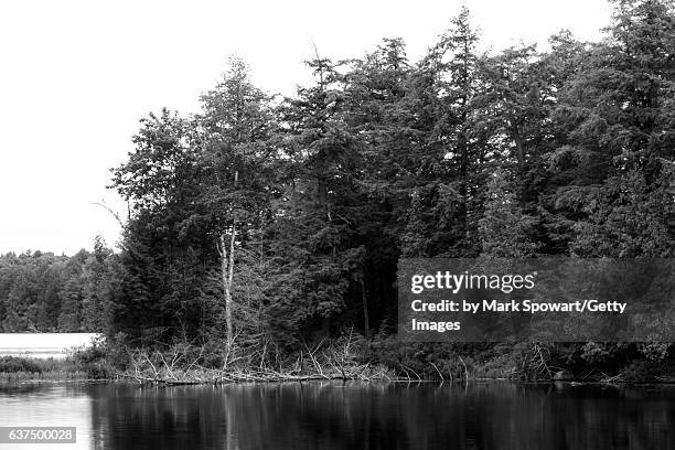 muskoka, canada - parry sound stock pictures, royalty-free photos & images