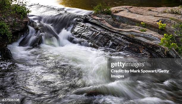 muskoka landscape - muskoka stock pictures, royalty-free photos & images