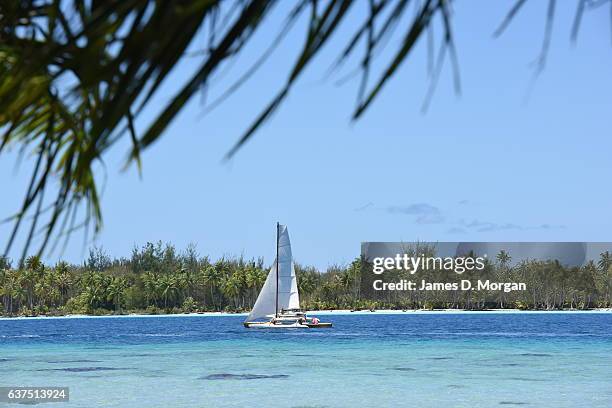 The blue lagoon island world renowned for honeymoon couples with its turquoise waters and palm trees on December 10, 2016 in Bora Bora, French...