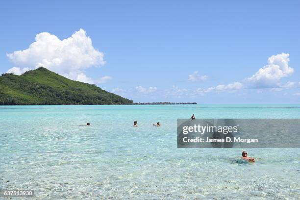 The blue lagoon island world renowned for honeymoon couples with its turquoise waters and palm trees on December 10, 2016 in Bora Bora, French...