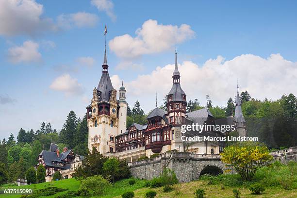 peles castle in summer - sinaia stockfoto's en -beelden