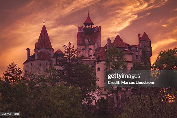 bran castle, romania - vampire castle stock pictures, royalty-free photos & images