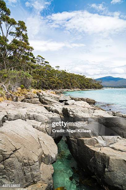 bruny island, tasmania - bruny island stock pictures, royalty-free photos & images