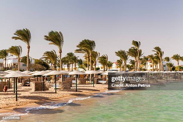 sand beach. red sea, egypt - hurghada stock pictures, royalty-free photos & images