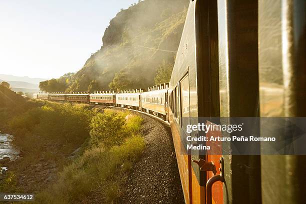 copper canyons, chihuahua - chihuahua mexico stock pictures, royalty-free photos & images