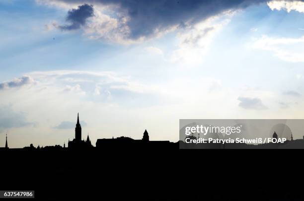 silhouette of city in budapest - patrycia schweiß stock pictures, royalty-free photos & images