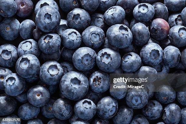 fullframe shot of blueberry - blueberries fruit fotografías e imágenes de stock