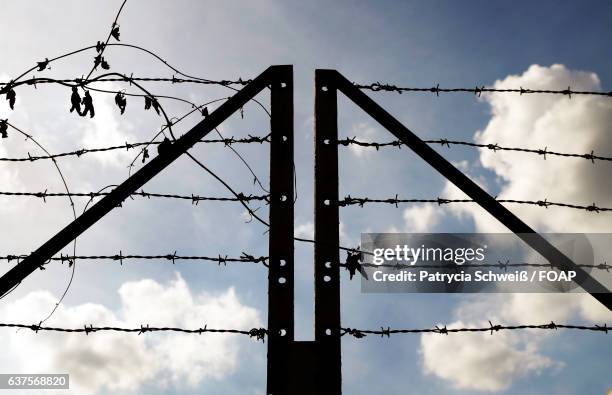 silhouette of barbed wire fence - patrycia schweiß stock pictures, royalty-free photos & images