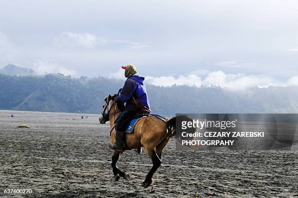 horse ride in mt bromo, indonesia - bromo horse stock pictures, royalty-free photos & images