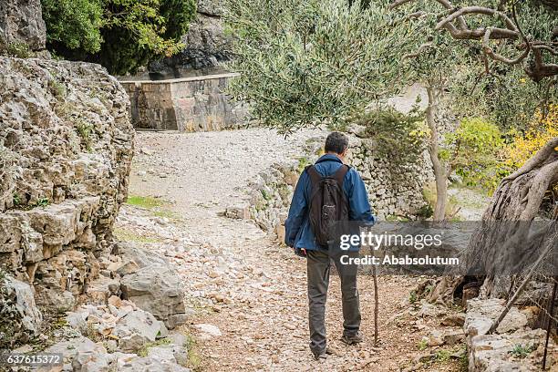 senior man hiking towards pustinja blaca, brac island, croatia, europe - brac island stock pictures, royalty-free photos & images