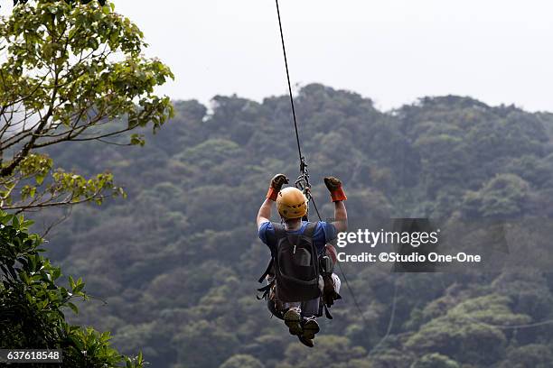 Zip Wire Ride Rides A Zip Wire Photos and Premium High Res Pictures - Getty Images