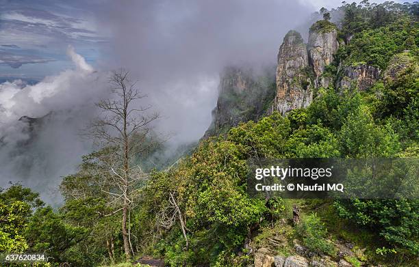Pillar Rocks Pillar Rocks Kodaikanal Photos and Premium High Res Pictures - Getty Images