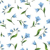 Seamless pattern with bluebell flowers. Vector illustration.
