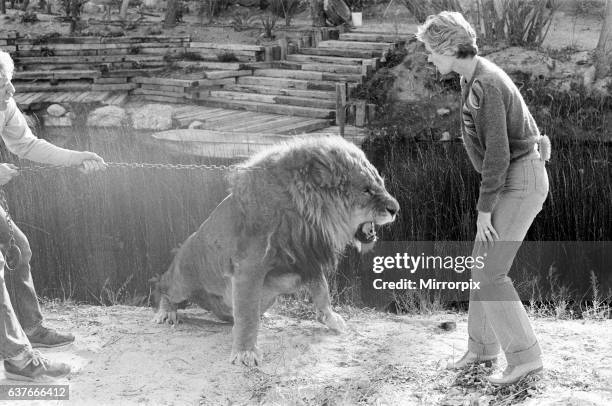 Noel Marshall and Tippi Hedren with their animals on their San Fernando Valley compound. 25th January 1982.