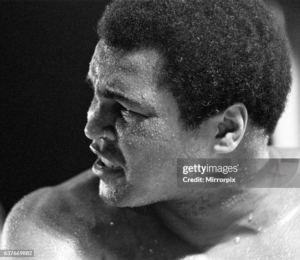 Muhammad Ali is fighting his way back to fitness in his Bahamas training camp. He vowed to lose 1 1/2 stone before his big fight with heavy-weight...