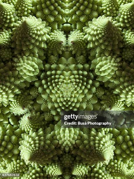 abstract image: kaleidoscopic image of romanesco cauliflower - kaleidoskop stock-fotos und bilder