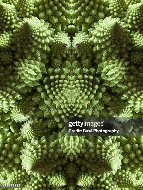 abstract image: kaleidoscopic image of romanesco cauliflower - chou romanesco stock pictures, royalty-free photos & images