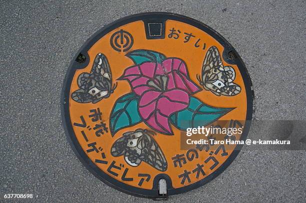 a colorful manhole cover in okinawa - manhole stock pictures, royalty-free photos & images