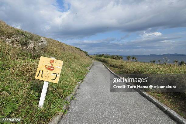 "pay attention to snake" signboard in okinawa - taro hama stock illustrations