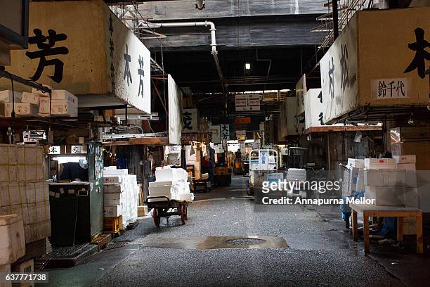 a quiet scene at the wholesale tsukiji fish market in tokyo, japan - tsukiji fish market stock pictures, royalty-free photos & images