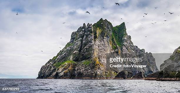 seabirds flying over dramatic ocean island cliffs st kilda scotland - scotland stock pictures, royalty-free photos & images