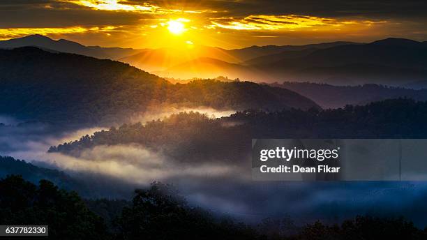 misty sunrise in the smokies - great smoky mountains stock pictures, royalty-free photos & images