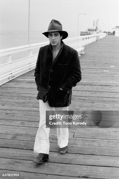 110 Al Pacino Ethnicity Stock Photos, High-Res Pictures, and Images