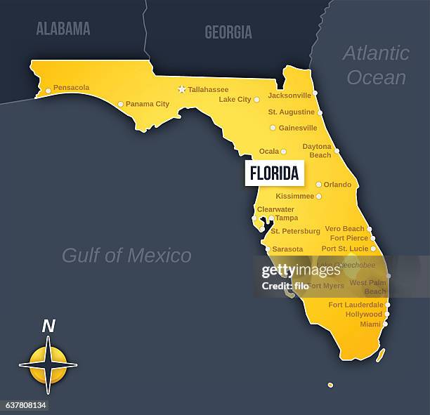 florida - orlando florida map stock illustrations