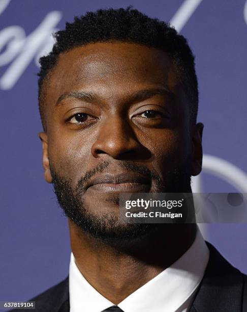 Aldis Hodge arrives at the 28th Annual Palm Springs International Film Festival Film Awards Gala at Palm Springs Convention Center on January 2, 2017...