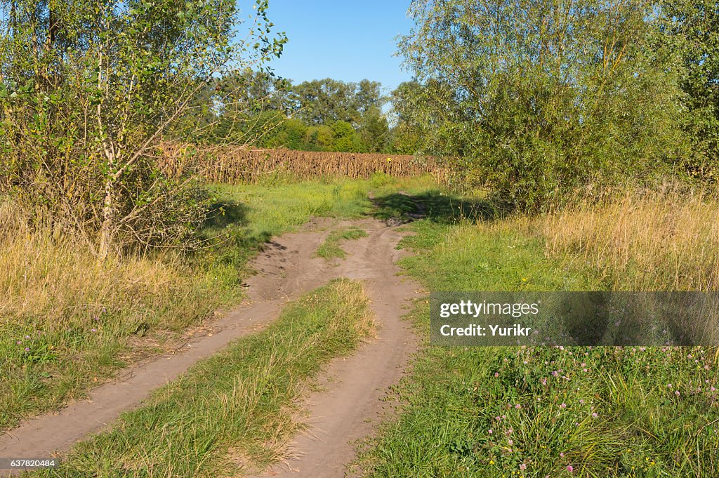 Landscape with earth road near sunflower fields in central Ukraine