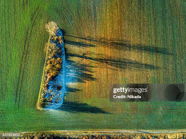 vista aerea del paesaggio con alberi e campo in inverno - weimar foto e immagini stock