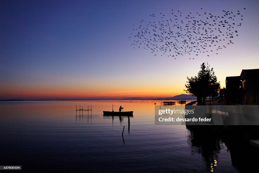 Flock of birds at dawn on a fisherman