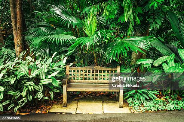 植物園のベンチ - singapore botanic gardens ストックフォトと画像