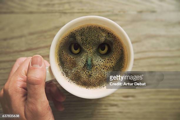 creative picture of a double exposure view with owl animal merged inside coffee cup surface in the morning taken from personal perspective, mixing wild animal inside coffee. - augen verbunden stock-fotos und bilder