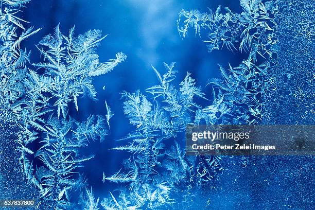 ice flower on the window glass - ice texture foto e immagini stock