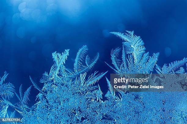 window frost (fern frost or ice flowers) - frost stock pictures, royalty-free photos & images