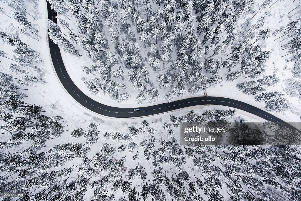 Road through the wintery forest - aerial view