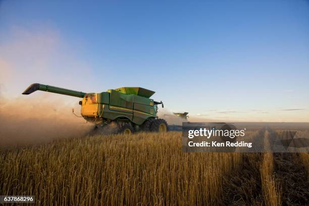 kansas wheat farming - kansas stock-fotos und bilder
