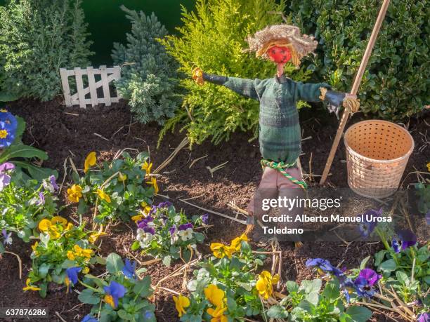 england, london, small garden - scarecrow stock pictures, royalty-free photos & images