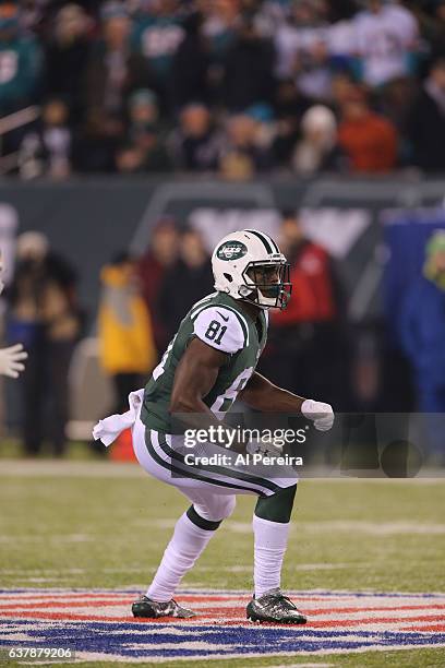 Wide Receiver Quincy Enunwa of the New York Jets has a long gain against the Miami Dolphins at MetLife Stadium on December 17, 2016 in East...