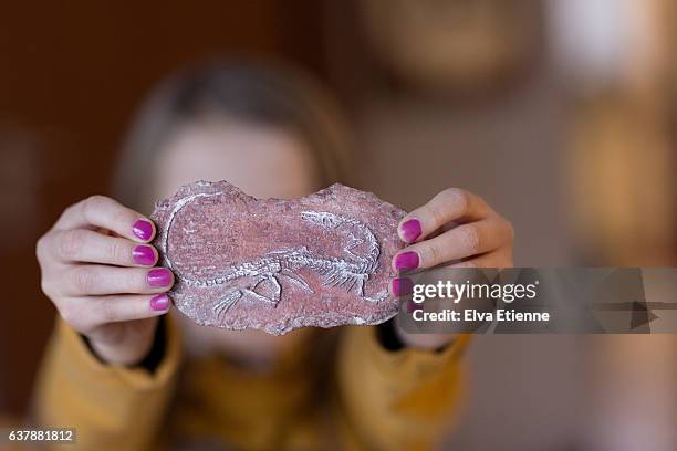 child holding a dinosaur fossil - skeletons stock-fotos und bilder