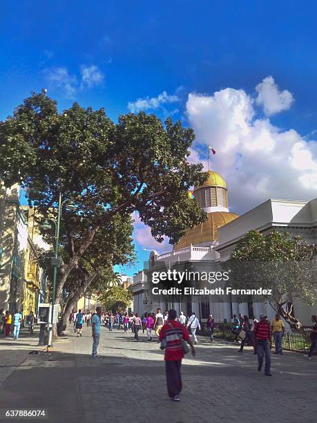 federal legislative palace. - caracas foto e immagini stock