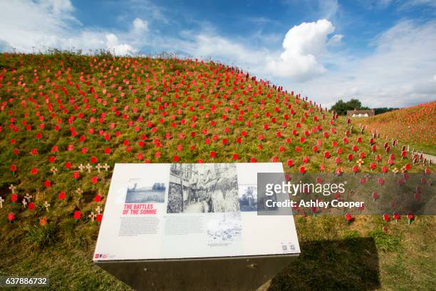poppies to mark the centenery of the battle of the somme at the thiepval memorial, a massive memorial to commemorate the 72,000 missing soldiers who dies in the battle of the somme in the first world war, thiepval, france. - anniversary mark stock pictures, royalty-free photos & images