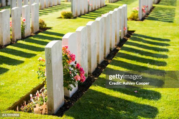 the delville wood cemetery to british dead of the battle of the somme at longueval, france. - conflict minerals stock pictures, royalty-free photos & images