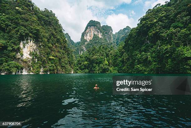 man swimming in epic jungle lake lagoon in khao sok, thailand - kao sok national park imagens e fotografias de stock