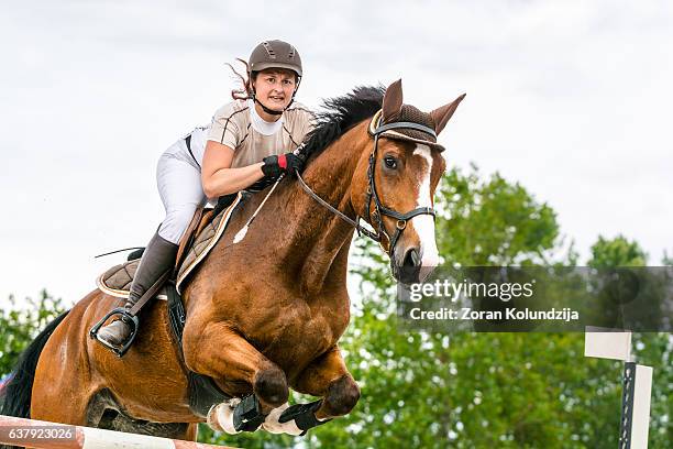 show jumping - horse with rider jumping over hurdle - horse show stockfoto's en -beelden