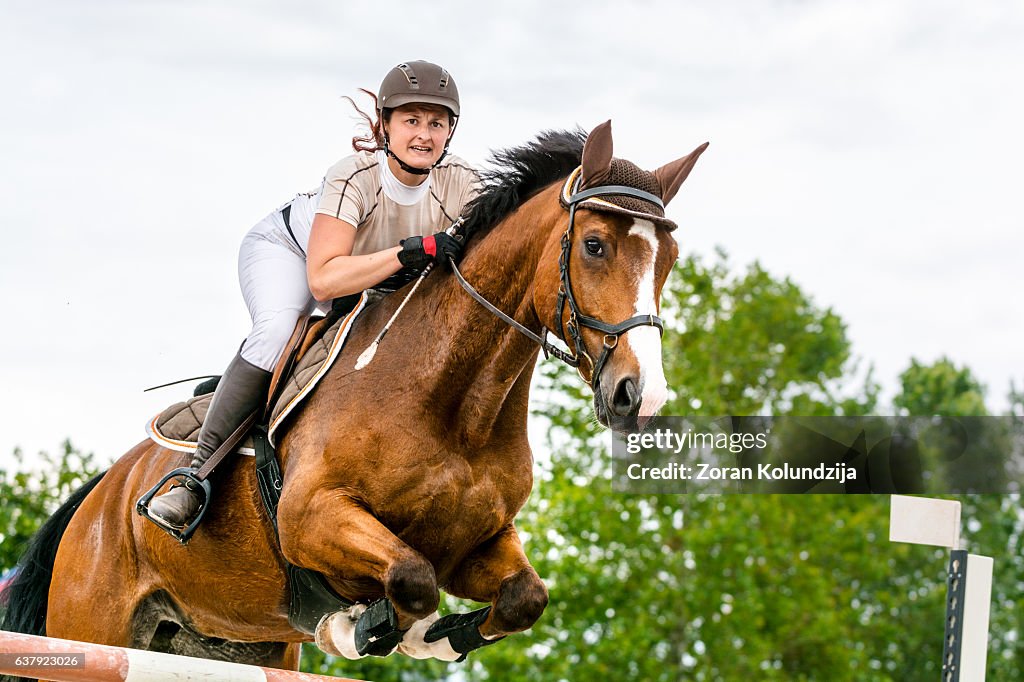 Show jumping - horse with rider jumping over hurdle