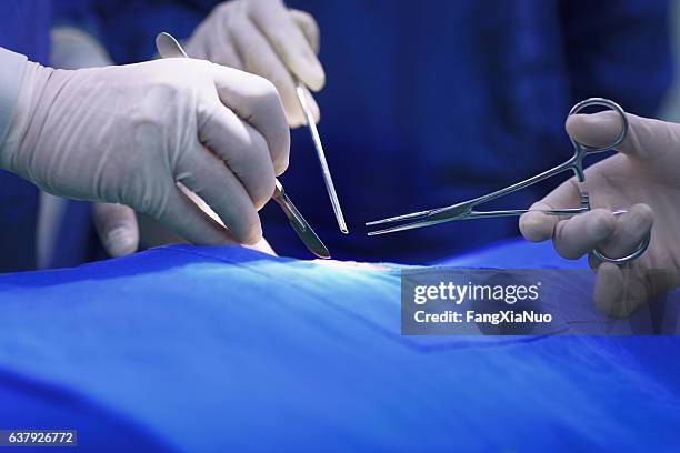 hands of doctors performing surgery in hospital operating room - surgical scissors stock pictures, royalty-free photos & images