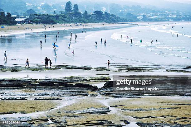 summer at the beach - lorne stock pictures, royalty-free photos & images